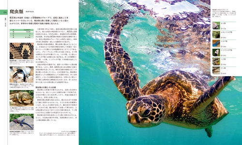 地球博物学大図鑑 新訂版 – 丸善ジュンク堂書店ネットストア