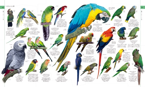 地球博物学大図鑑 新訂版 – 丸善ジュンク堂書店ネットストア