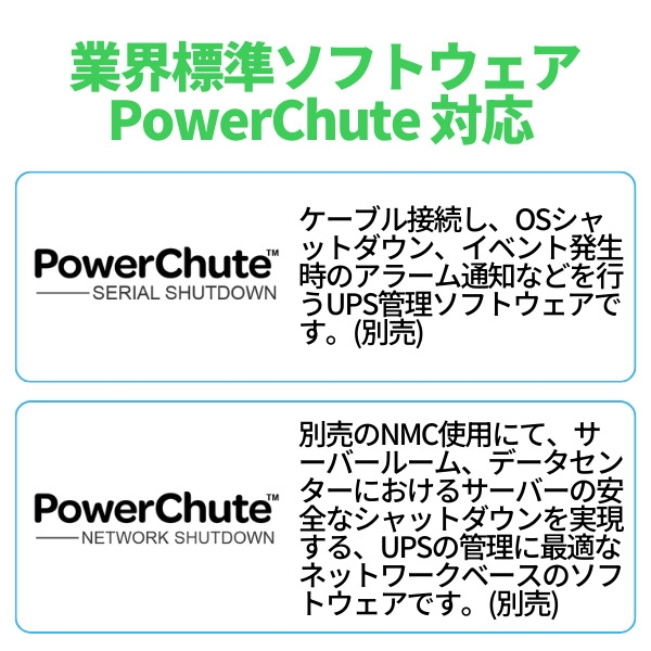 シュナイダーエレクトリック APC Smart-UPS 500 無停電電源装置 UPS