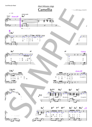 楽譜】Feel The Night - Lee Ritenour / リー・リトナー (バンドスコア