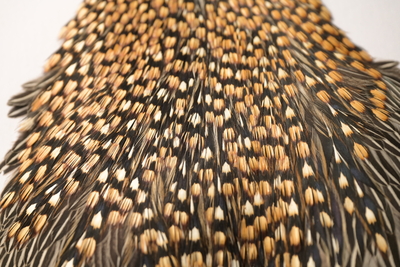 キャナル｜フライマテリアル｜ジャングルコック｜Jungle Cock | K