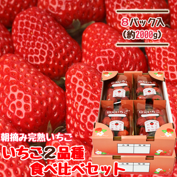 朝摘み完熟いちご 2品種食べ比べセット 250g×4パック | 山元いちご