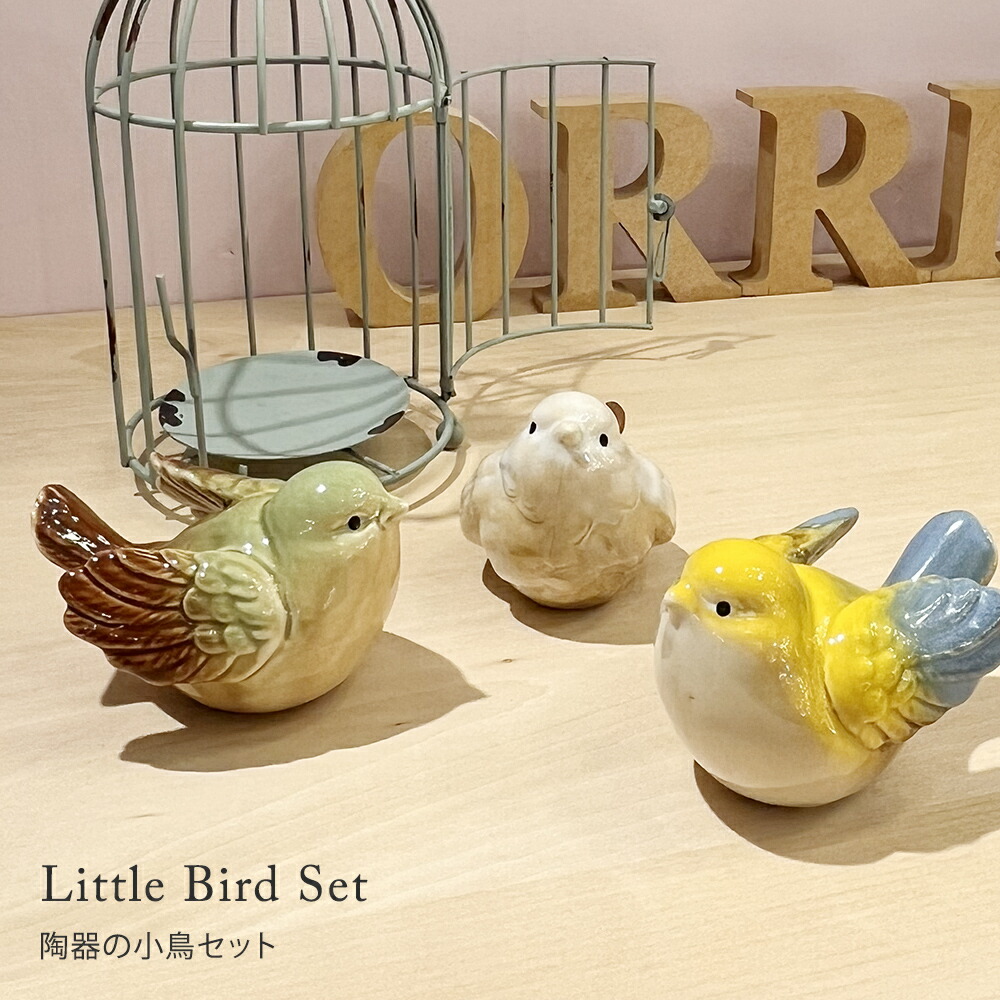 楽天市場】【楽天スーパーSALE限定クーポン配布中】小鳥 コトリ ことり