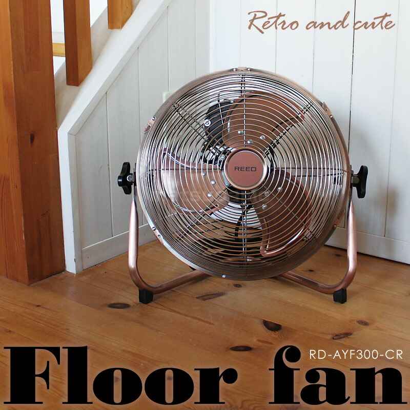 楽天市場】【P最大47倍&クーポン】【選ぶ景品】 REED デザイン 扇風機