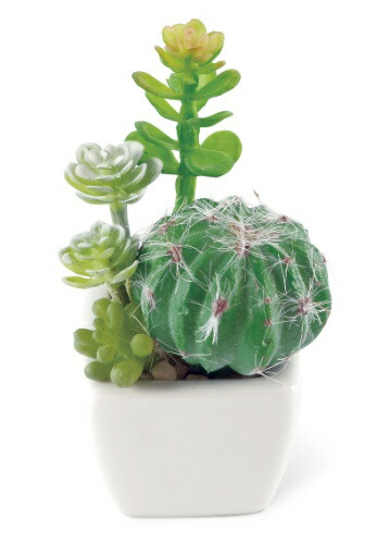 楽天市場】サキュレントリフレリウム 消臭アーティフィシャルグリーン