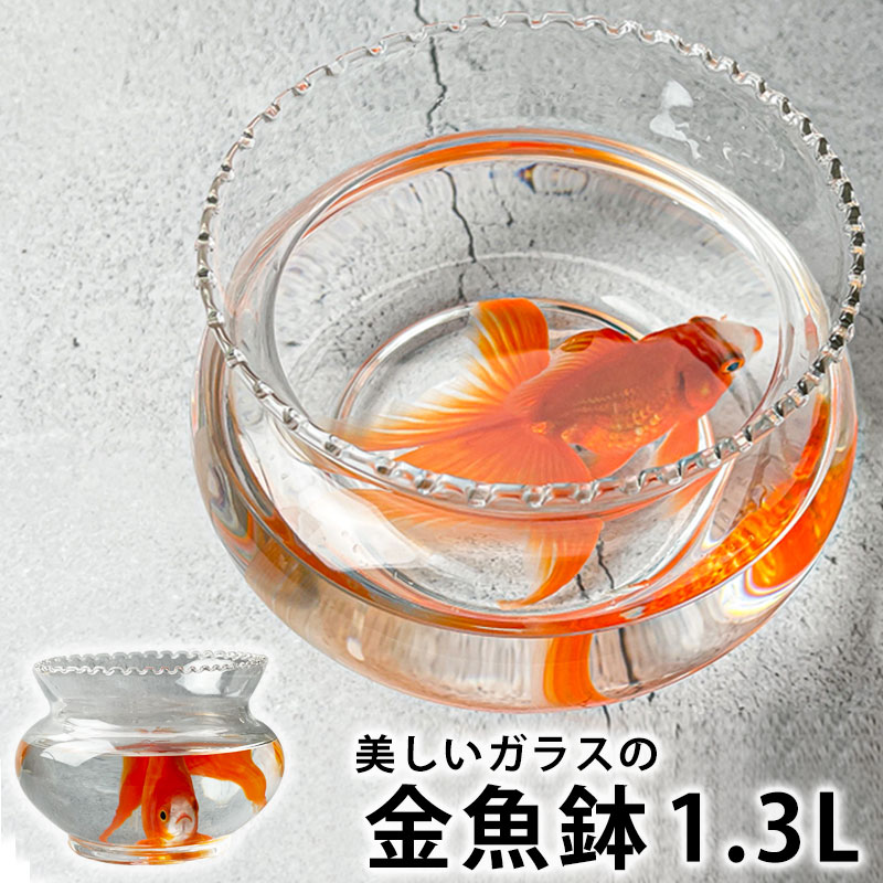楽天市場】【10％OFF】【最大300円クーポン有】 金魚鉢 おしゃれ
