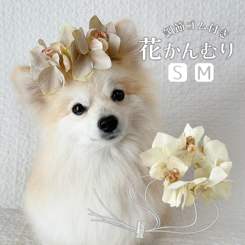 楽天市場】犬 帽子 花冠 耳飾り エクリュ 犬服 花飾り ドッグ 衣装 全