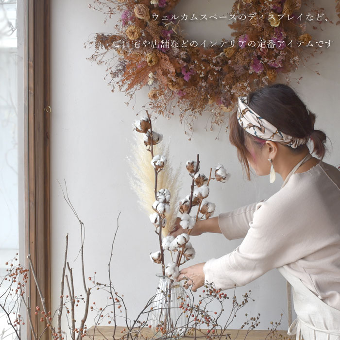 楽天市場】生花ドライ 枝もの コットン（綿 白色）1本 綿の実枝つき