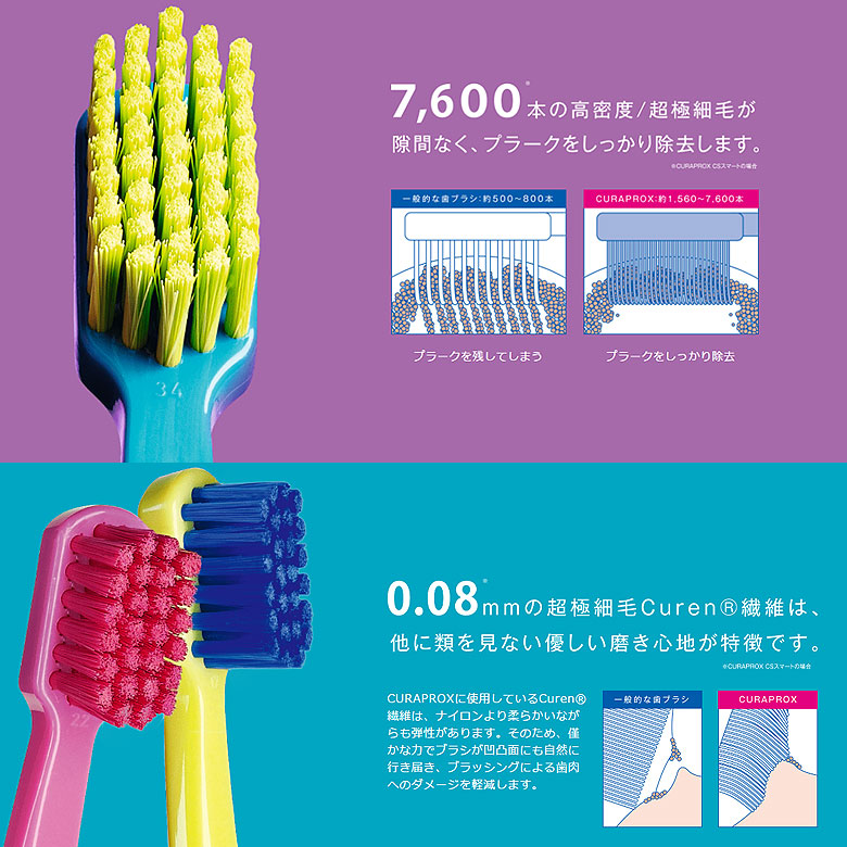 楽天市場】【スーパーセール限定！P2倍！】【即発送】1本 クラ