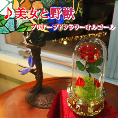楽天市場】【美女と野獣 プリザーブドフラワーオルゴール】オルゴール