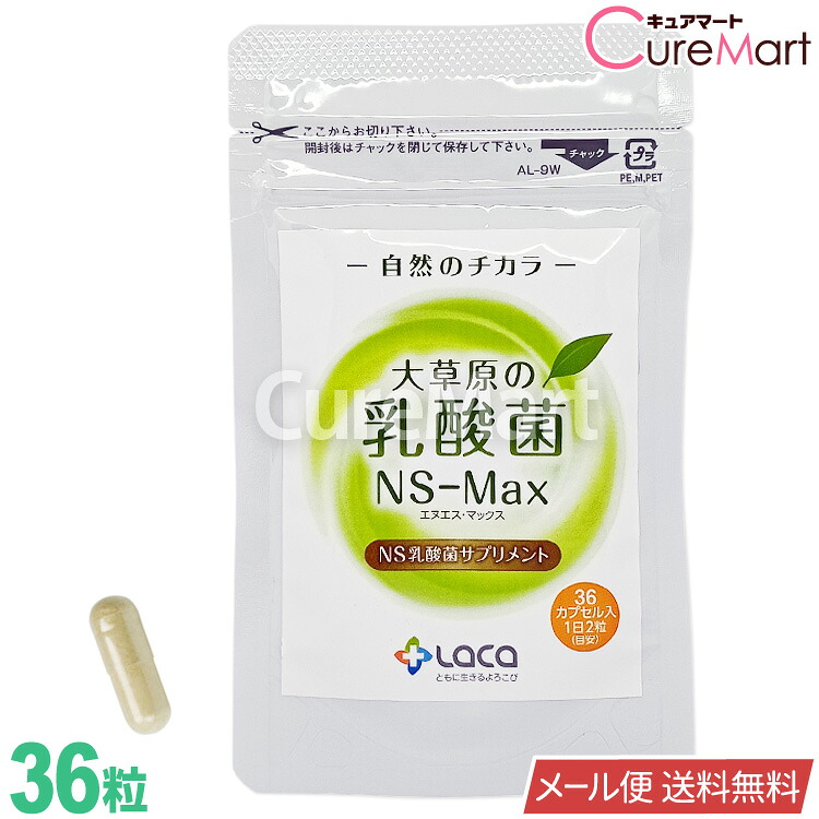 楽天市場】大草原の乳酸菌 NS-Max 36粒【メール便 送料無料】NS乳酸菌