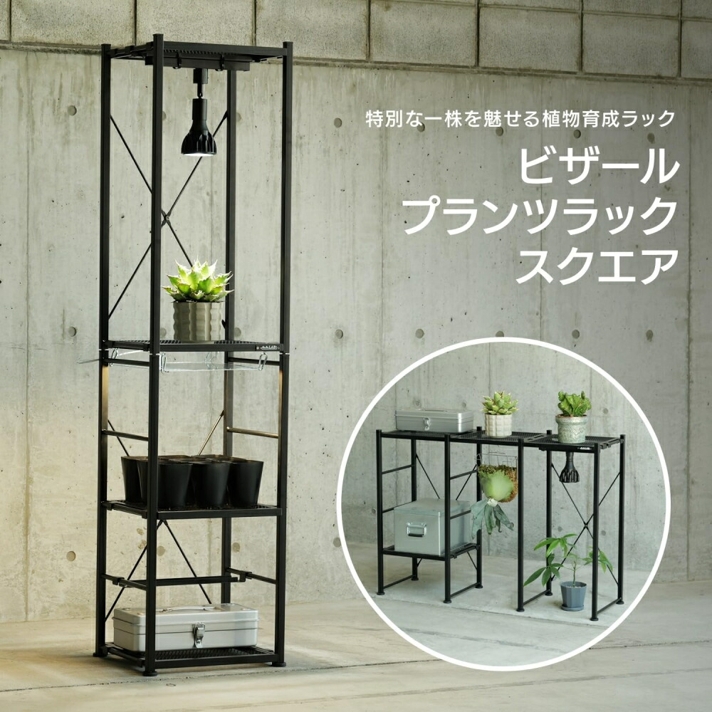 楽天市場】全商品10%OFF ビザールプランツラック 植物ラック 植物棚
