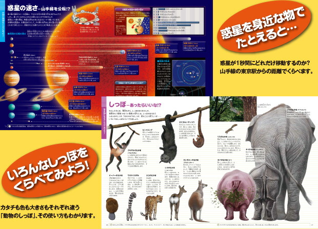 楽天市場】即日発送 【送料込】 小学館 図鑑 セット 分解する図鑑