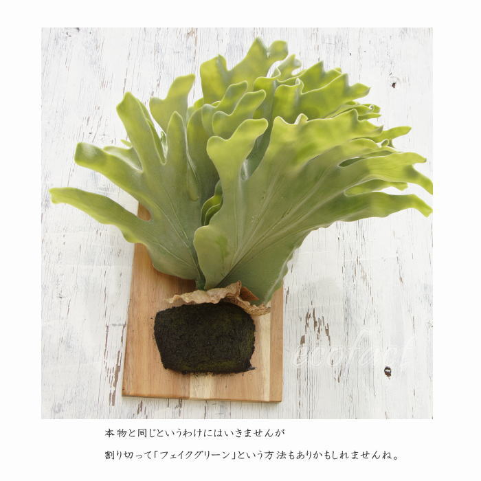 楽天市場】フェイクグリーン ハンギング 大型 壁掛け コウモリラン