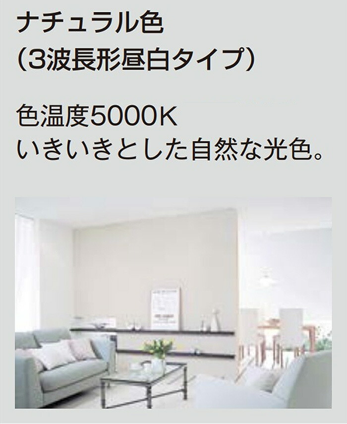 楽天市場】(生産完了品在庫限り)[5個セット]Panasonic ツイン蛍光灯