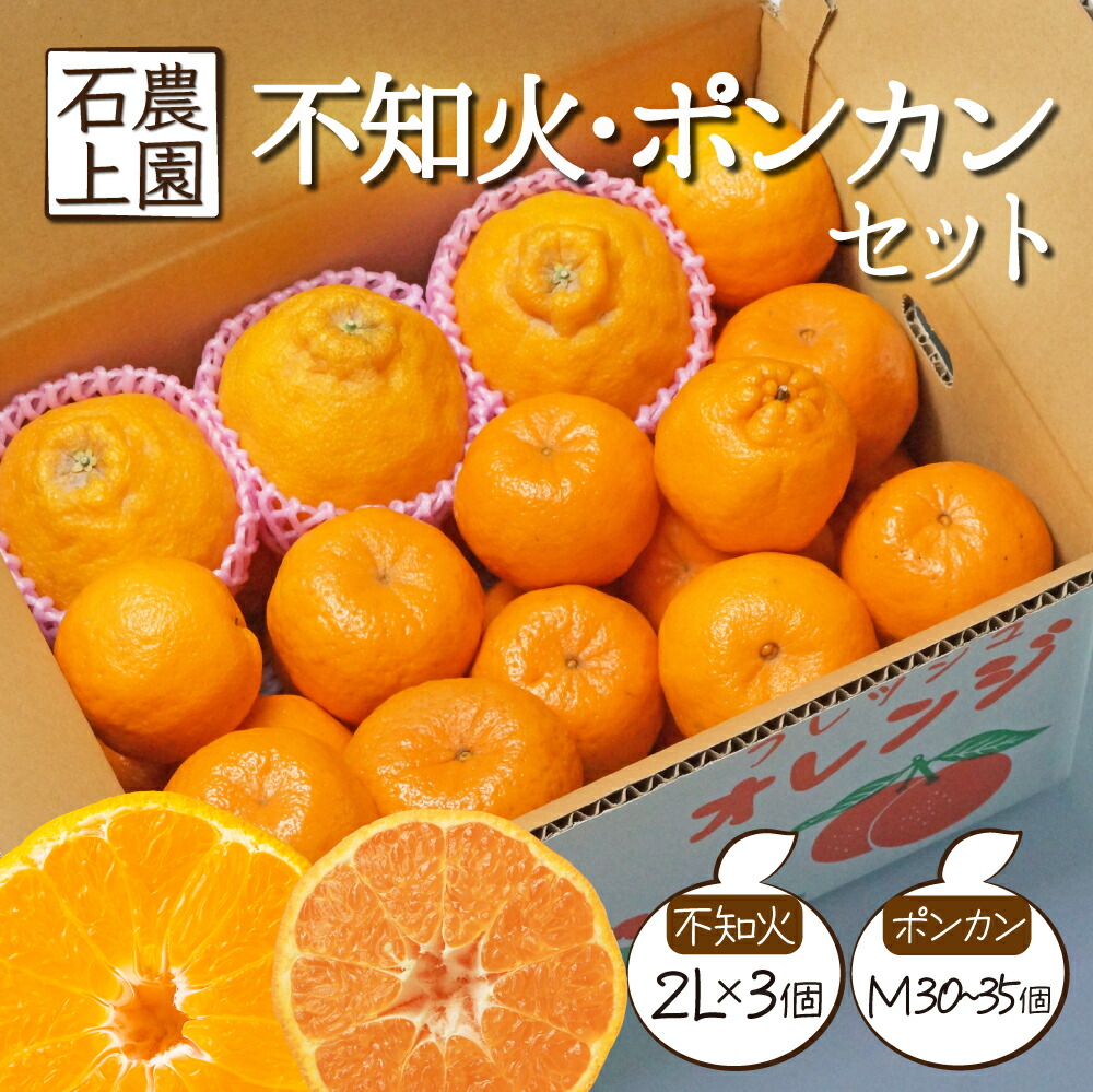 楽天市場】【ふるさと納税】＜先行予約受付中！2025年12月末から順次