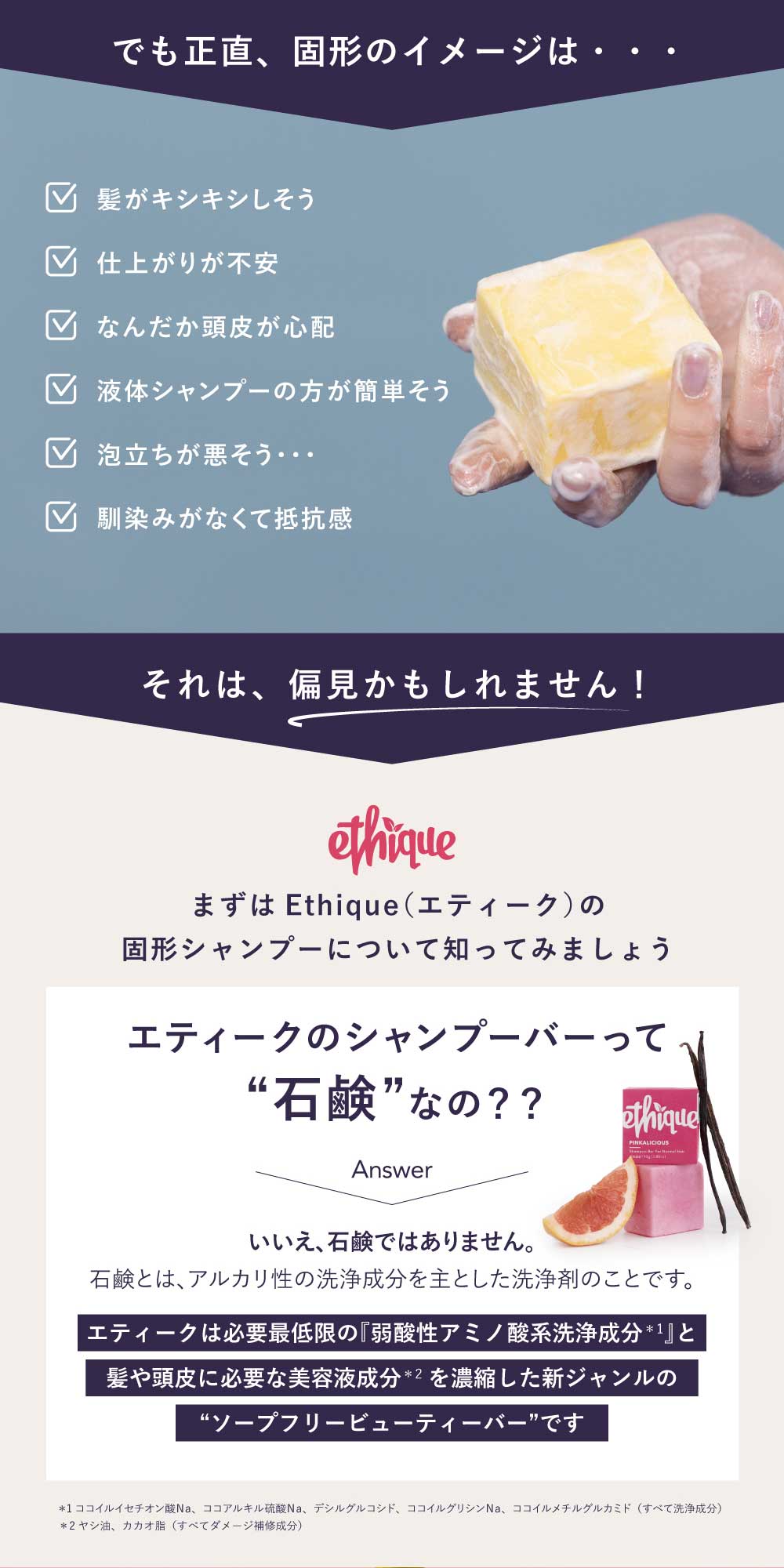 楽天市場】[ 10%OFF｜3/11 1:59まで ] 【公式】エティーク 単品【楽天1