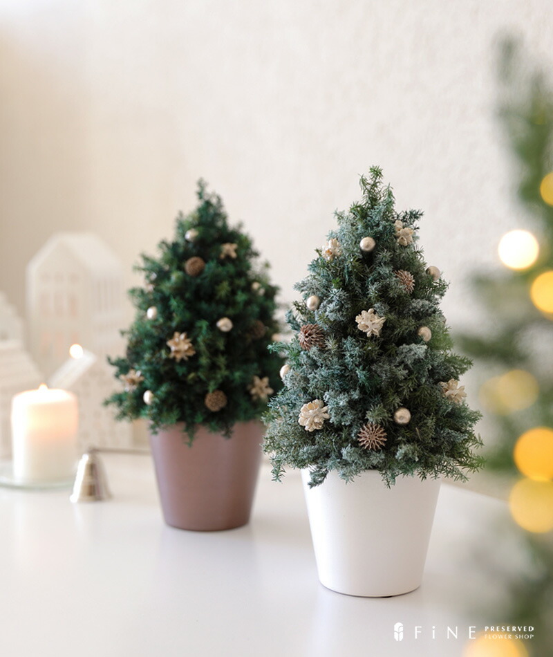 楽天市場】クリスマスツリー ツリー 27cm 飾り 玄関 クリスマス ツリー