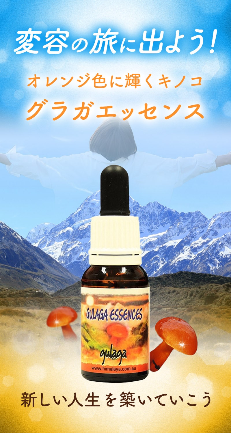 楽天市場】【楽天スーパーSALEポイント5倍＆最大2222円割引クーポン