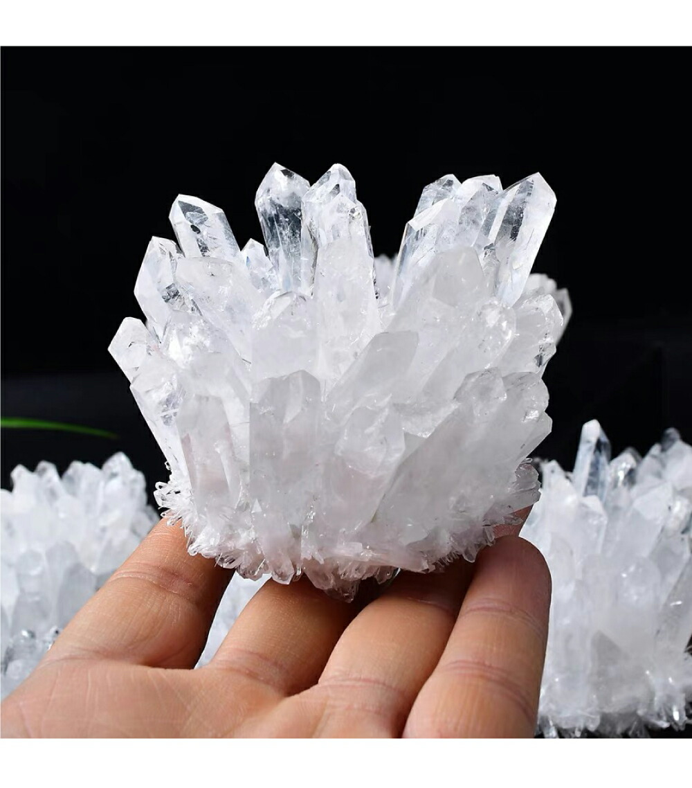 楽天市場】＼超トク開催中!最大20%OFFクーポン／ 【再入荷・早い者勝ち