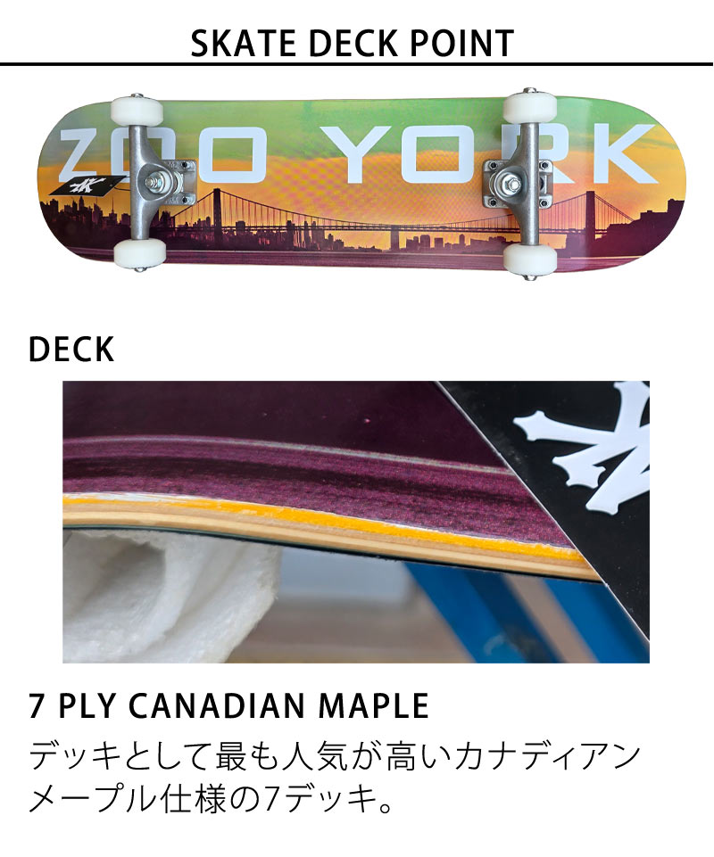 楽天市場】ZOOYORK ズーヨーク 8.0インチ スケボー スケートボード