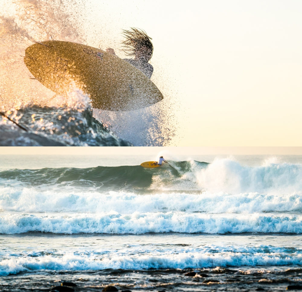 楽天市場】スタンドアップパドルボード SUP サップ F-ONE / エフワン