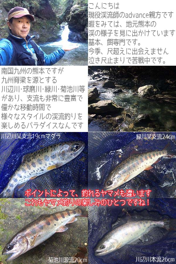 楽天市場】3.6m 軽量 87g 渓流竿 超硬調 カーボン ロッド 追風 360 竿