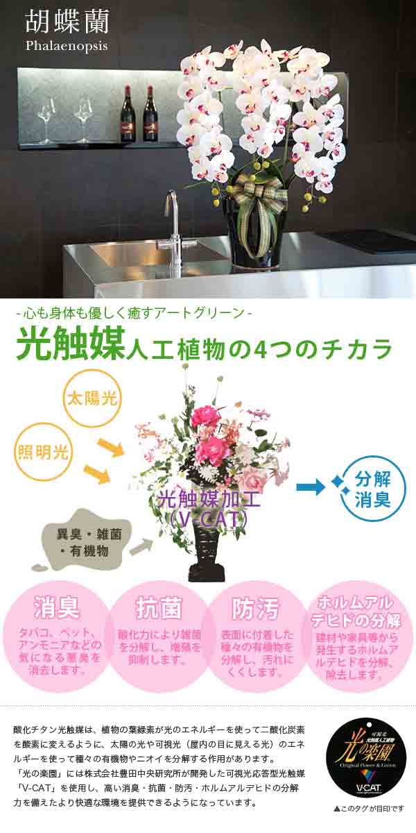 楽天市場】光触媒 花 フェイクフラワー フェイクグリーン 胡蝶蘭