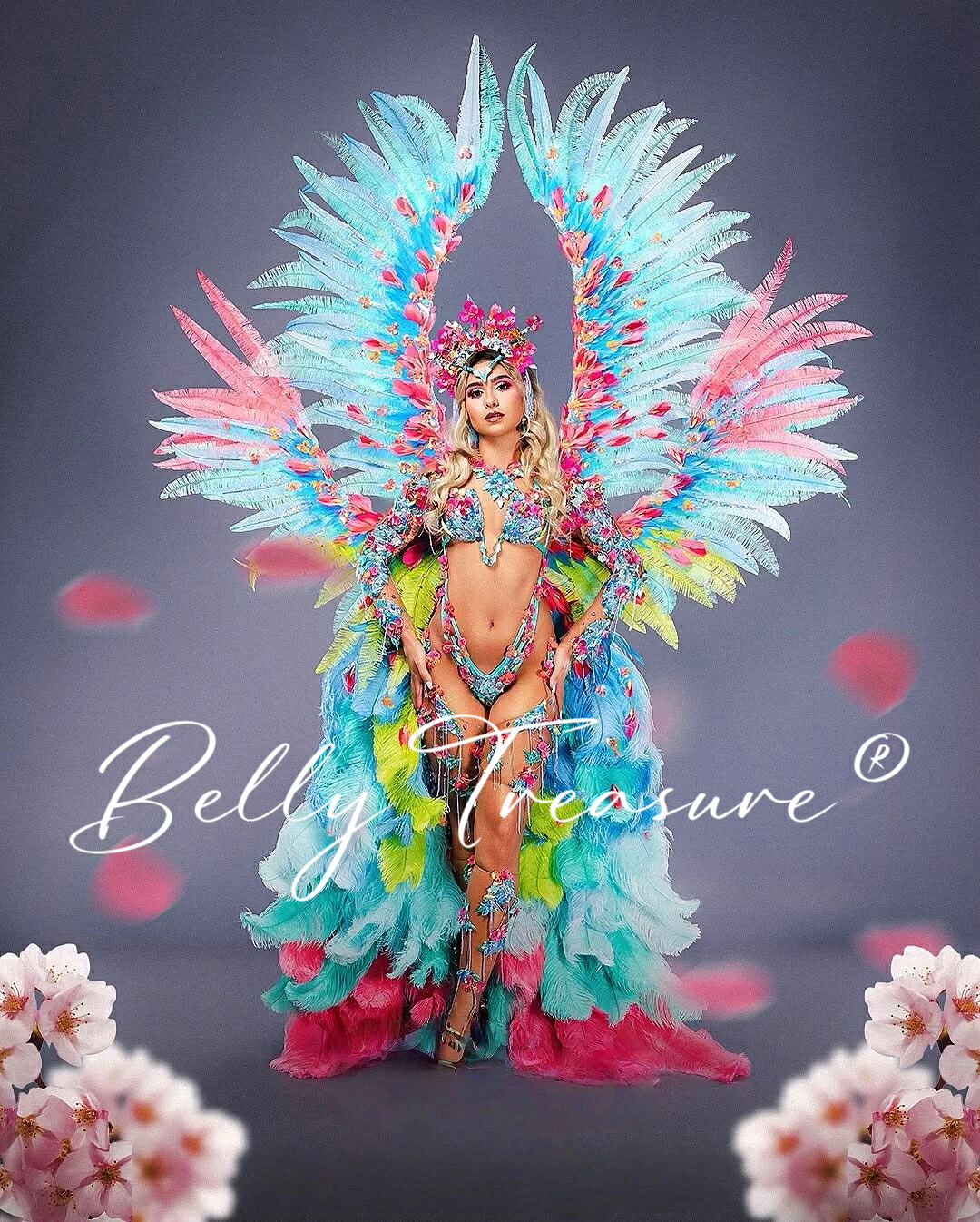 楽天市場】サンバ 衣装 背負い羽 ステージ衣装 背中の羽根 サンバ衣装