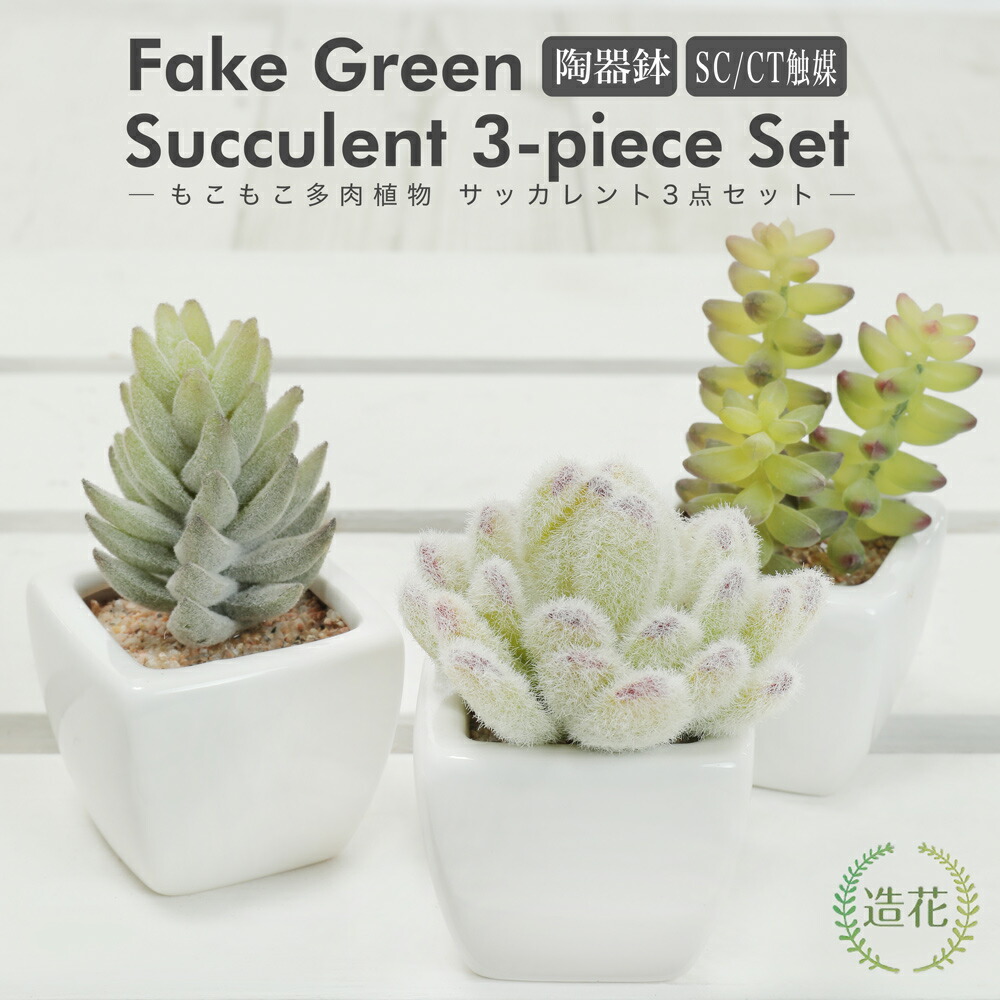 楽天市場】フェイクグリーン 多肉植物 サボテン 造花 ミニ 観葉植物