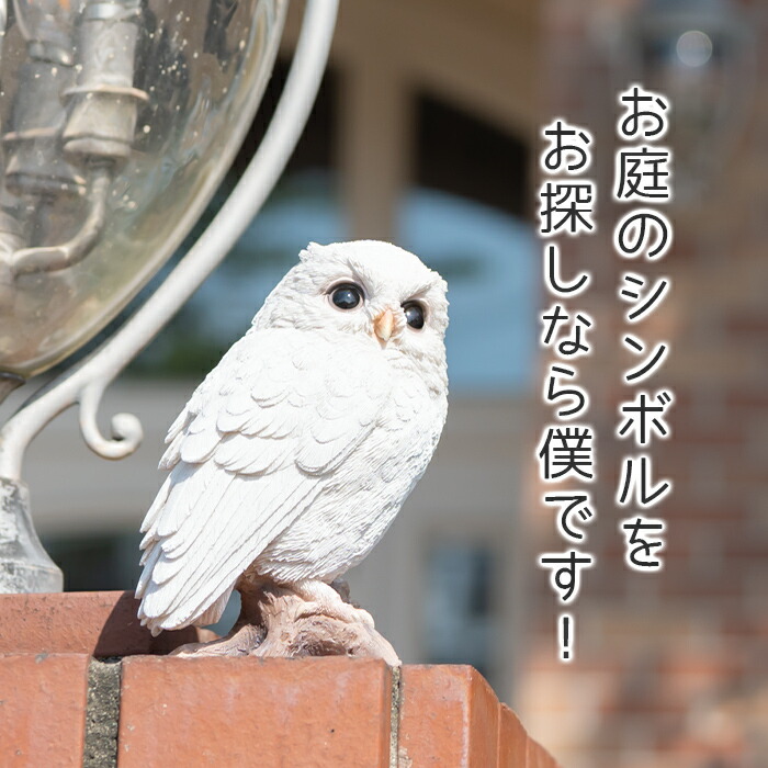 楽天市場】【スーパーセール 最大10%OFF 】枝に留まるシロミミズクの