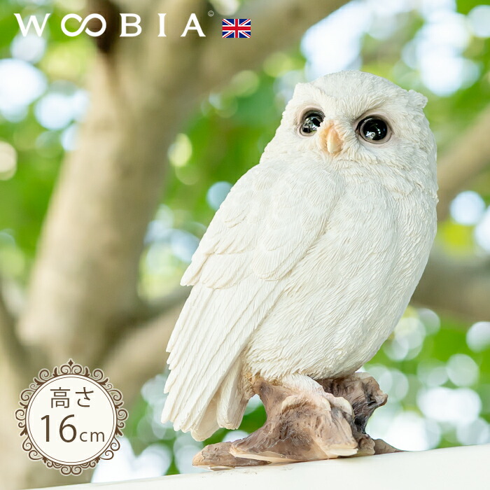 楽天市場】【スーパーセール 最大10%OFF 】枝に留まるシロミミズクの