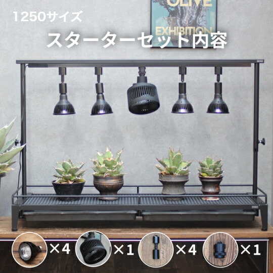 楽天市場】植物棚スターターセット 水受けトレー付1段植物棚 mini植物