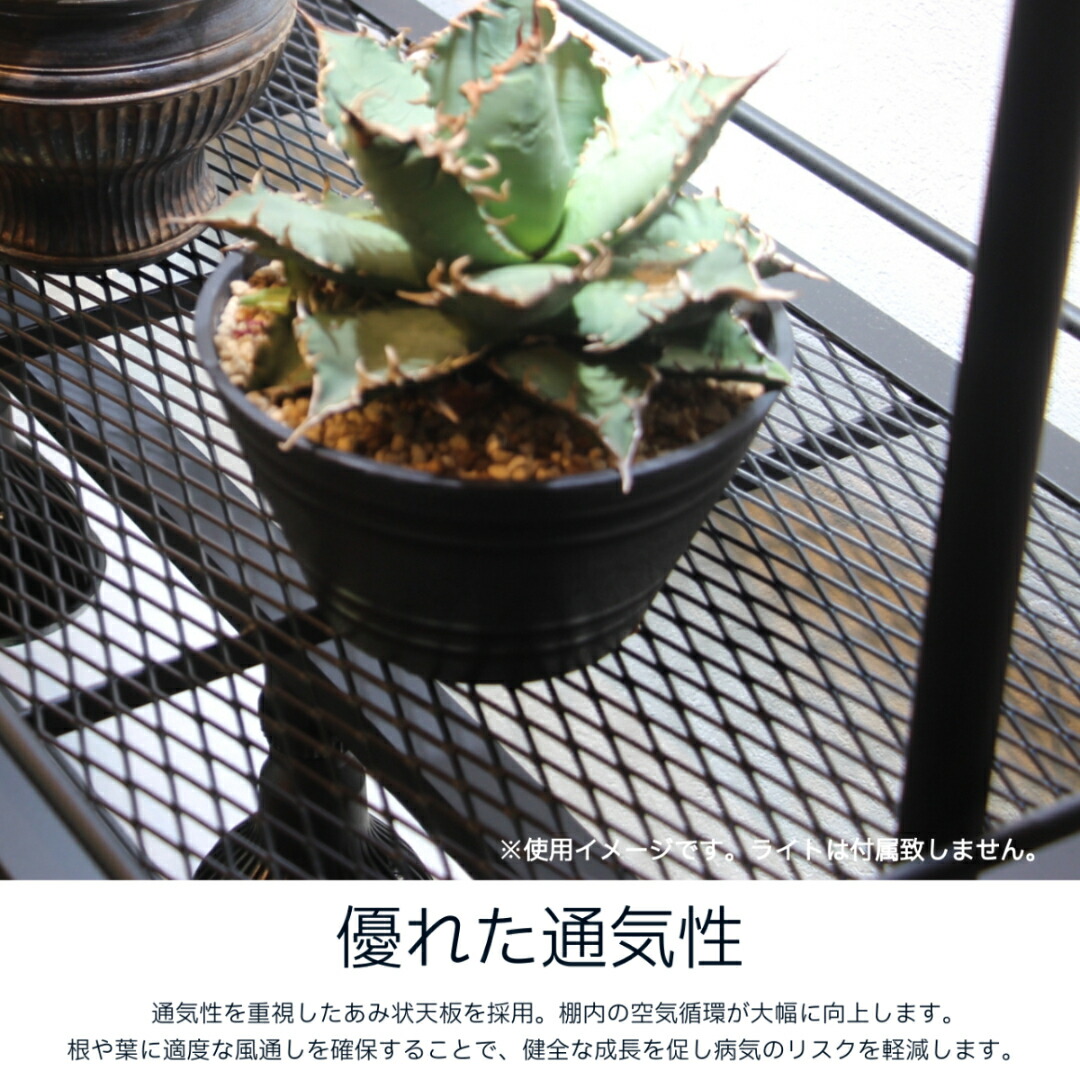楽天市場】水受けトレー付1段植物棚 植物棚 アガベ 塊根植物 観葉植物