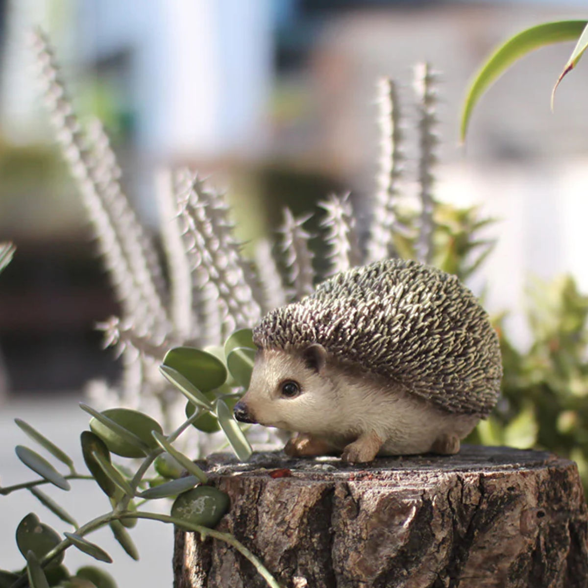 楽天市場】オブジェ ハリネズミ ペットバンク 貯金箱 （ 置物 動物