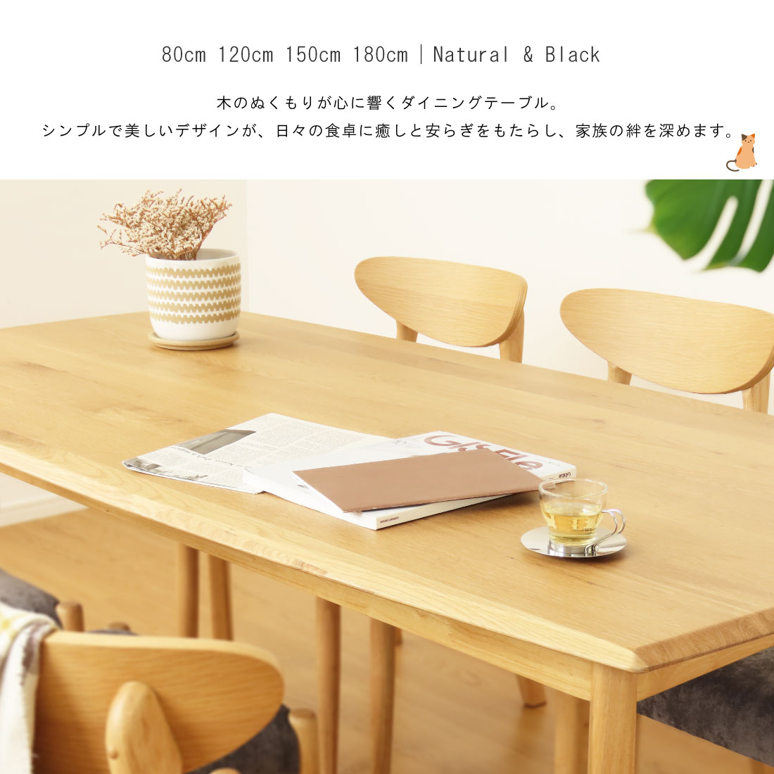 ダイニングテーブル テーブルのみ販売 ダイニング 天然木 テーブル