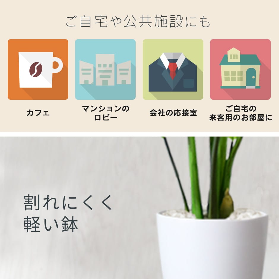 楽天市場】【クーポン20%off 3/8 00時〜24時】 人工観葉植物 お手入れ
