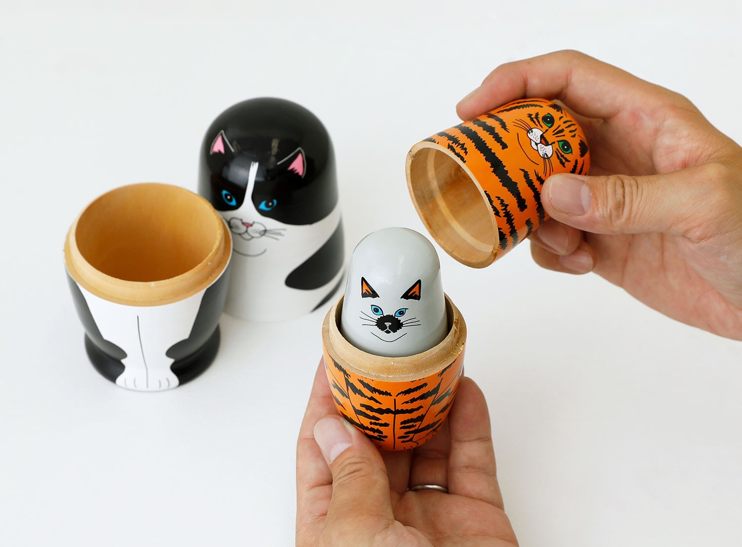 MIDORI KOMATSU Plays with DETAIL INC | Feline 5 フィーライン