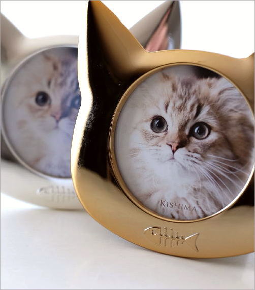 楽天市場】フォトフレーム 写真立て 猫 モチーフ 可愛い かわいい