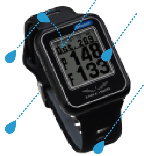 楽天市場】EAGLE VISION -Watch6- イーグルビジョン ウォッチ6/GOLF