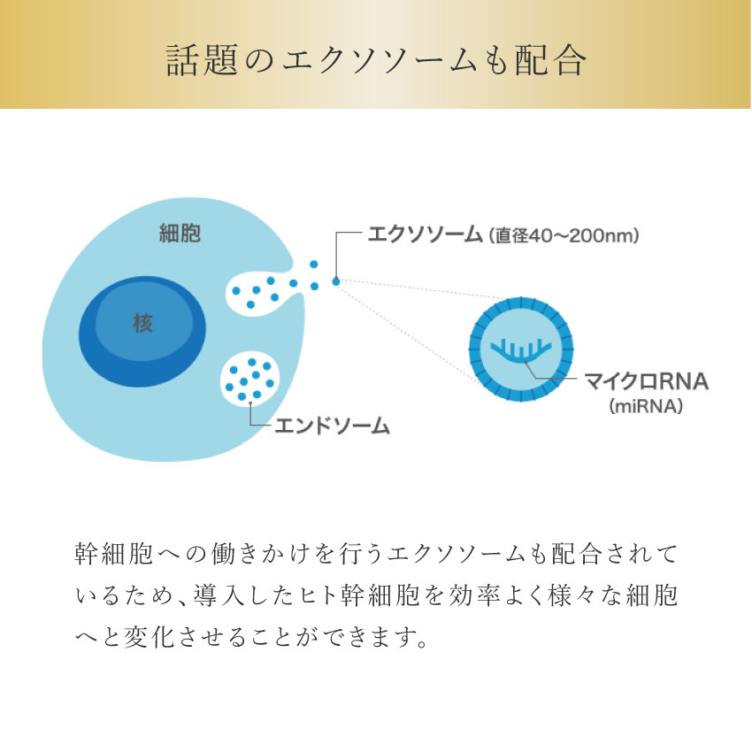 楽天市場】【ポイント10倍！スーパーセール期間】エクソソーム配合