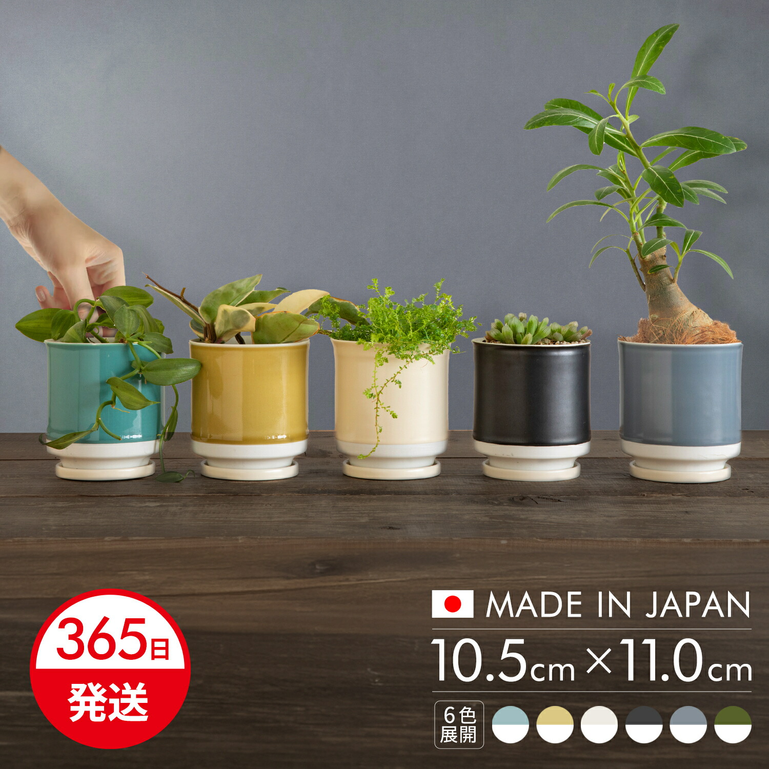 楽天市場】【5%OFFクーポン&P2倍対象!スーパーセール】 植木鉢 陶器