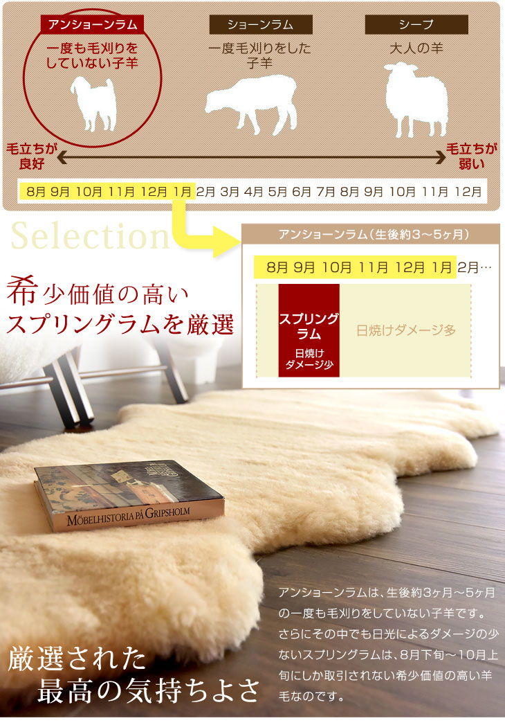 ムートンラグ 約65×130 日本製 スプリングラム100% 1.5匹物 〔87250015