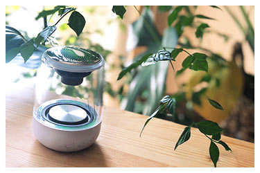 楽天市場】エクサ・レインボー ゼロ（EXA-Rainbow 0）2個セット 素粒子