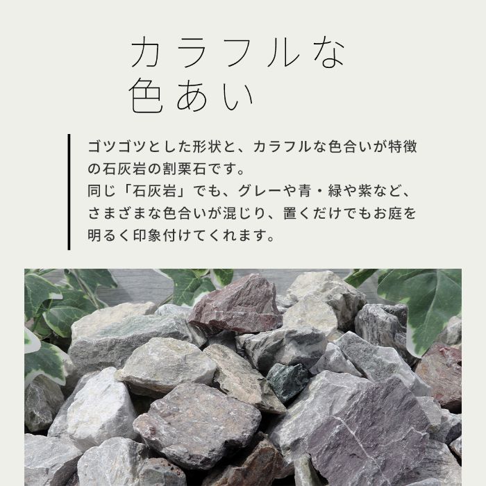 楽天市場】＼ポイント10倍!スーパーSALE!／ミックスカラーロック 150