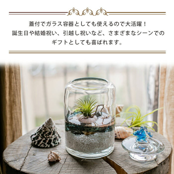 楽天市場】☆【今だけこの価格！】【送料無料】蓋つきブルーリボンの