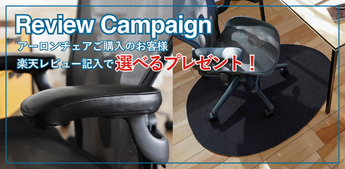 ライトシリーズ》アーロンチェア リマスタード フィックスドポスチャー