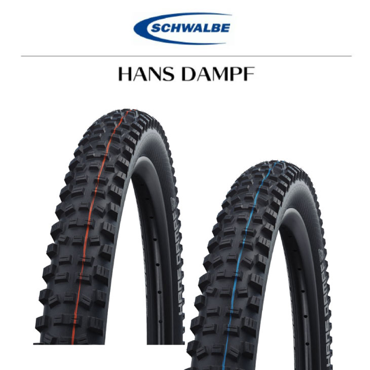 SCHWALBE シュワルベ HANS DAMPF ハンスダンプ Evolution Line