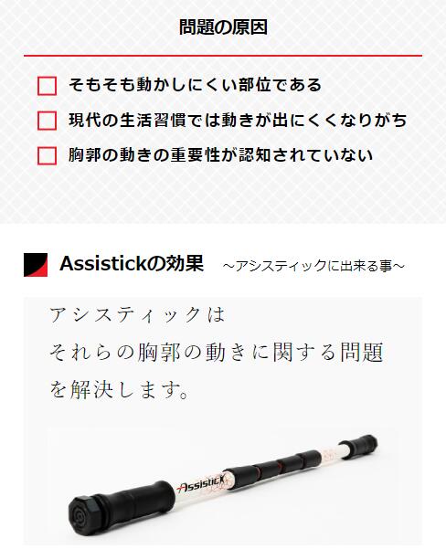 楽天市場】アシスティック（Assistick） : ストレッチポールLPN楽天市場店