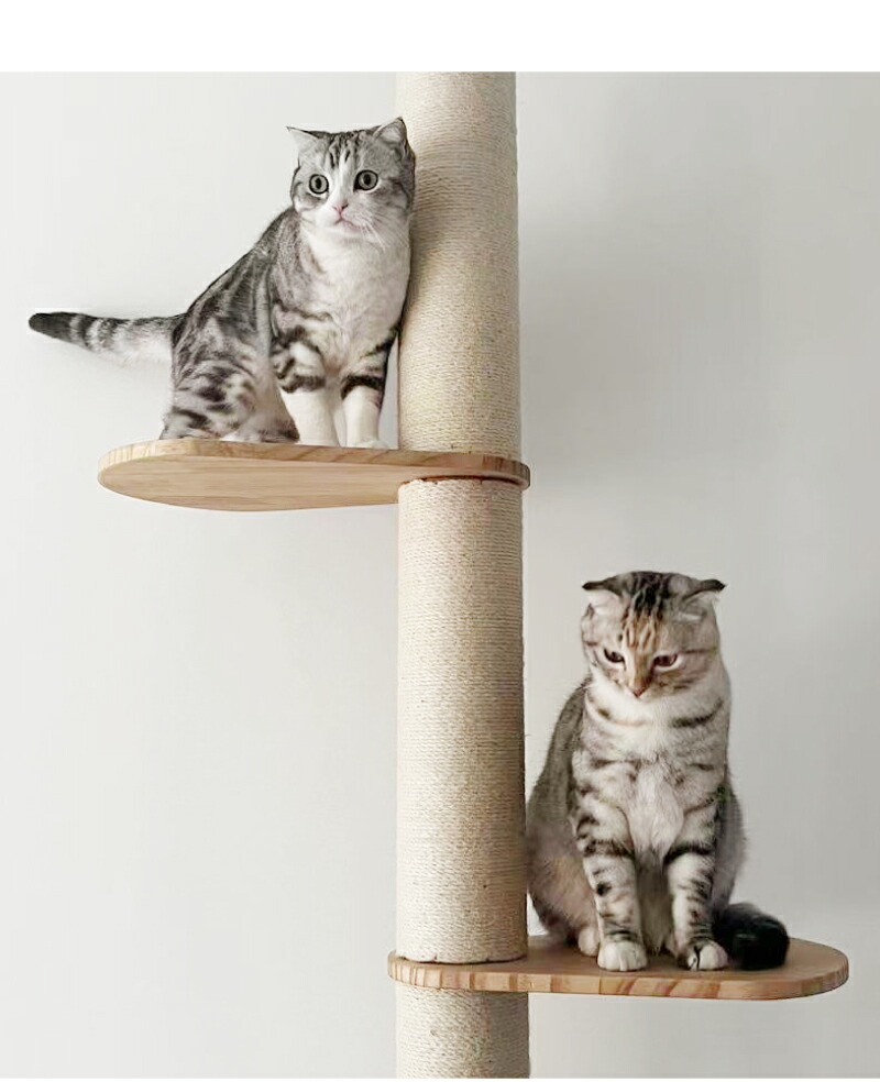 楽天市場】【20%OFF 楽天スーパーセール】ねこぞく ブーレ 突っ張り棒